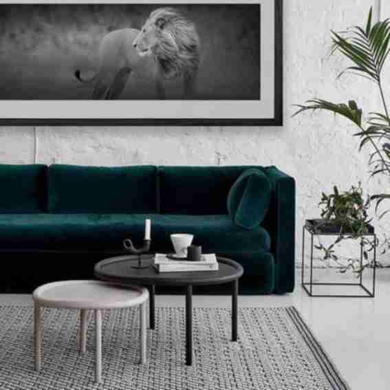 Rabinowitz Photography Reviews