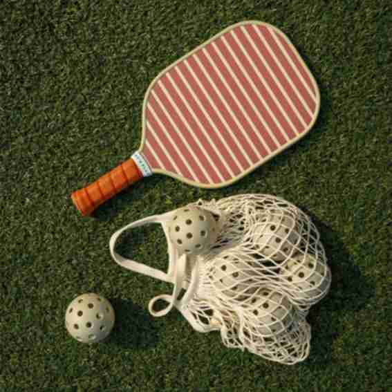 Recess Pickleball Reviews