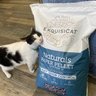 ExquisiCat