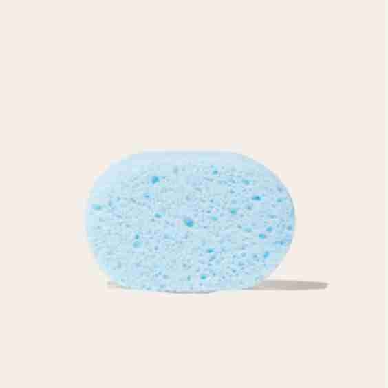 Pop-Up Sponge 