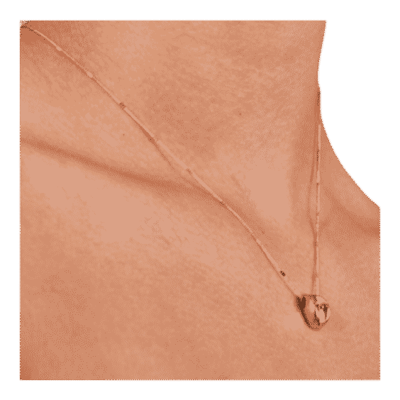 Arlo Pendant