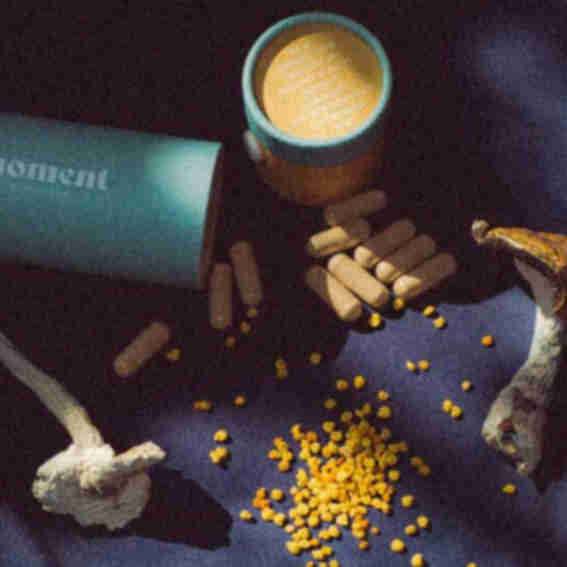moment mushrooms Reviews