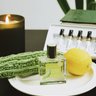 Chasing Scents