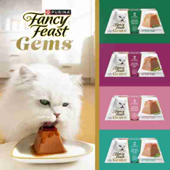 Purina Reviews