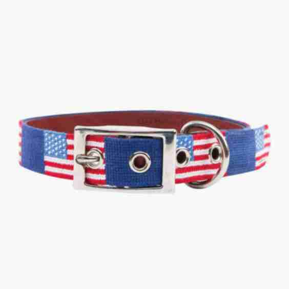 Needlepoint Dog Collar