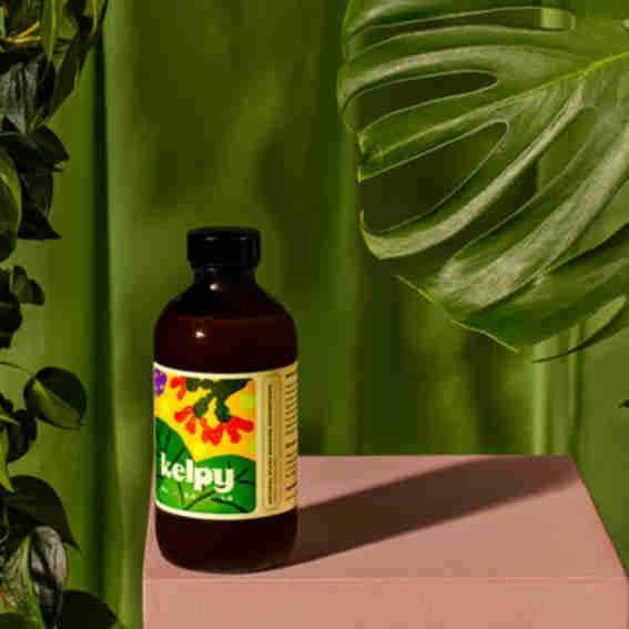 Kelpy Reviews