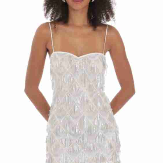 Silver Sequin Fringe Dress