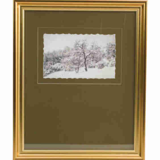 23x19 Coconino Framed Wall Art