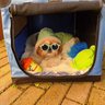 Petsfit
