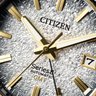 citizenwatch.com