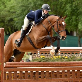 Equinavia