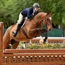 Equinavia