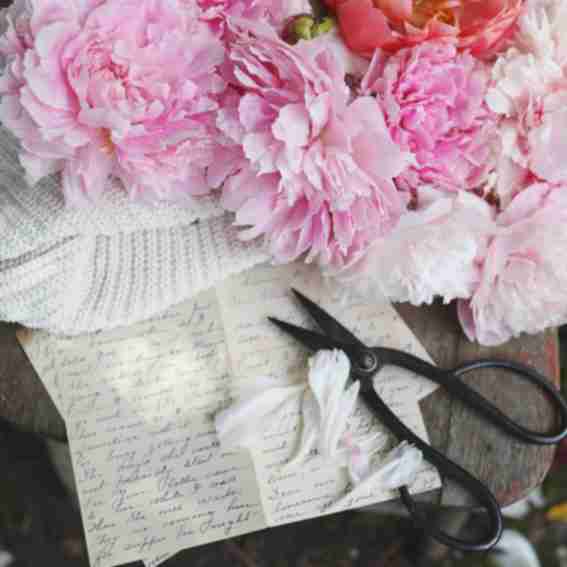 Whistling Prairie Flowers Reviews