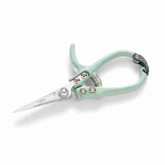 Pruning Shears