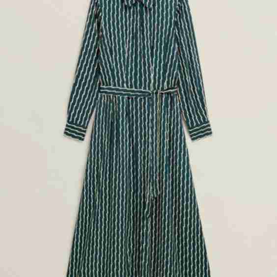 Serpentine Shirt Dress