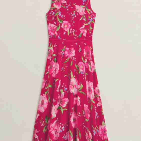 Petite Carly Dress