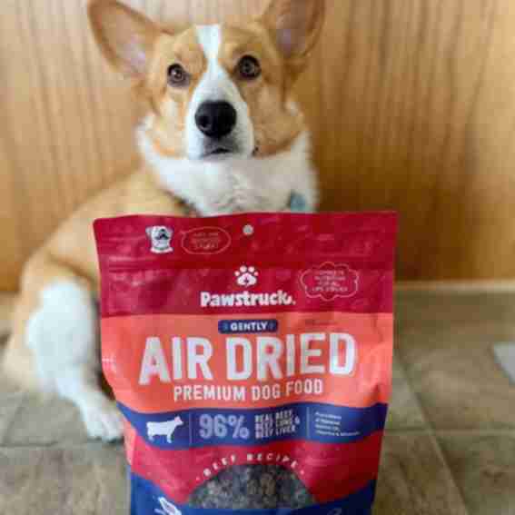 Pawstruck Reviews