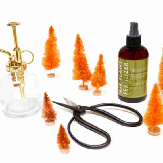 Air Plant Supply Co. Reviews