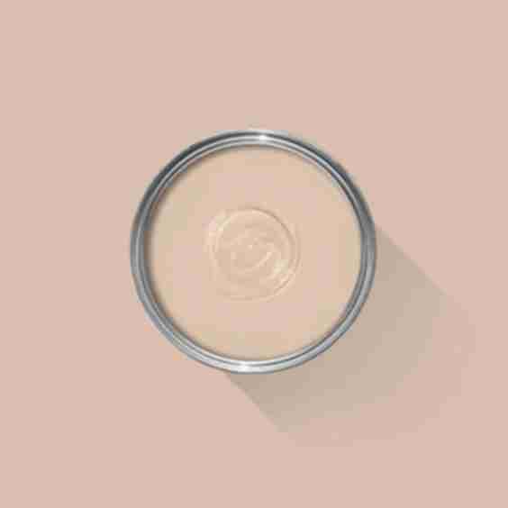 No. 231 Setting Plaster