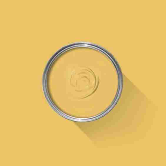 Babouche Paint Sample