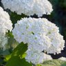 best4hedging