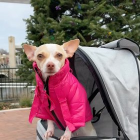 Trixie Pet