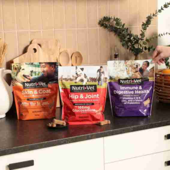 Nutri-Vet Reviews