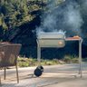 Spark Grills
