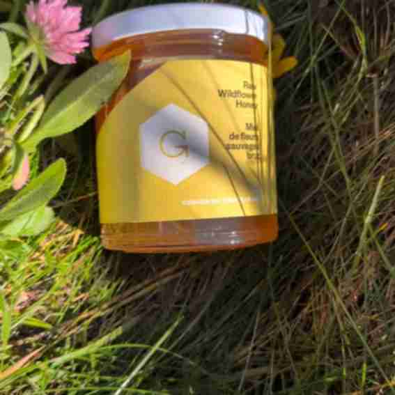 Raw Whipped Honey Reviews