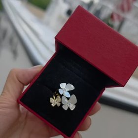 Joli Lily