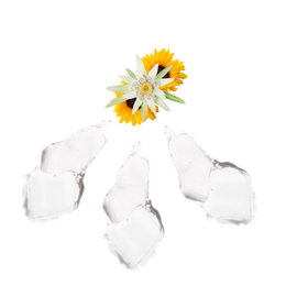 Children of Earth Skincare