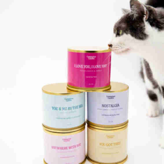 Companion Candles Reviews