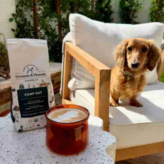Grounds & Hounds Coffee Co. Reviews