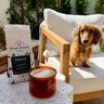 Grounds & Hounds Coffee Co.