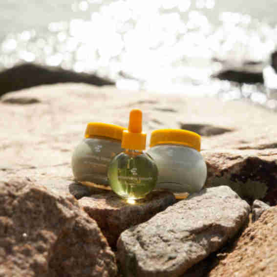 Conserving Beauty Reviews
