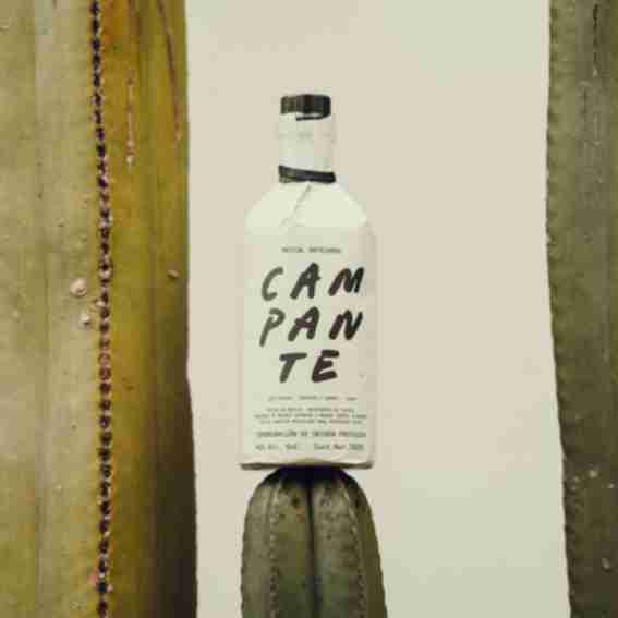 Mezcal Campante Reviews