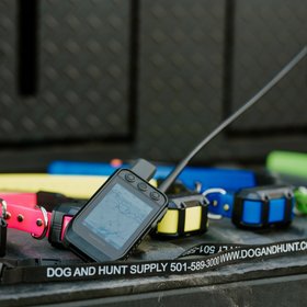 Dog and Hunt Supply