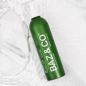 BAZ & CO