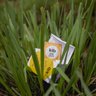 Kib Herbal Tea