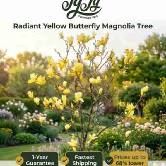 Ty Ty Plant Nursery Reviews
