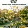 Ty Ty Plant Nursery