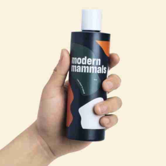Modern Mammals Reviews
