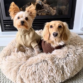 Doxie Warehouse