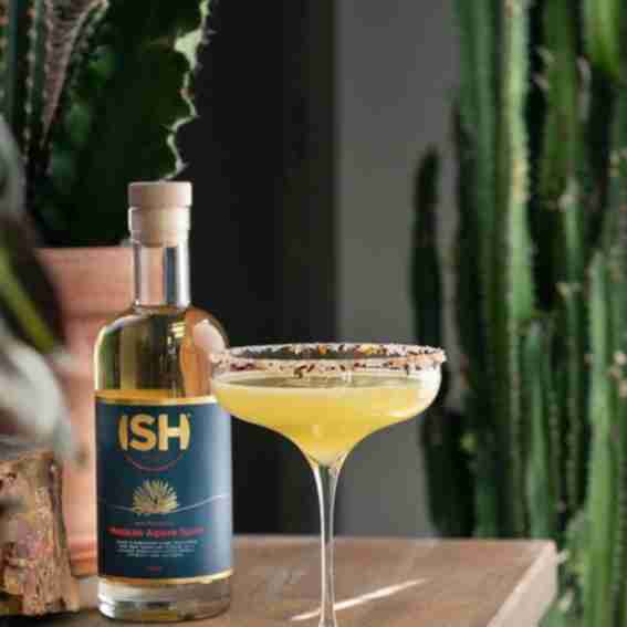 ISH Reviews
