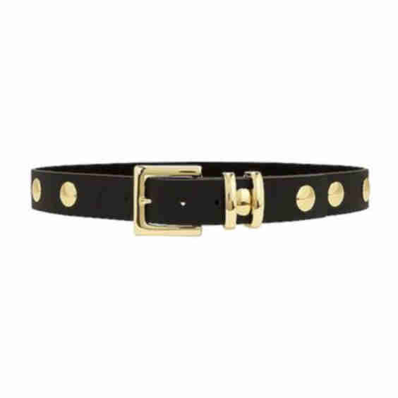 Sphinx Moto Belt