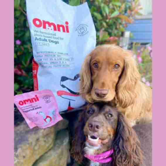 Omni Pet Reviews