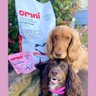 Omni Pet