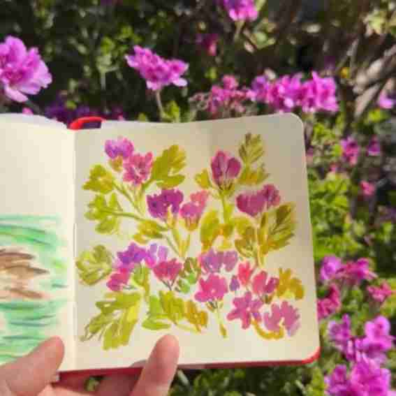 Viviva colors Reviews