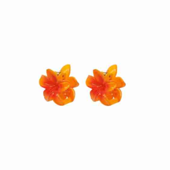 Baby Super Bloom Clip Set