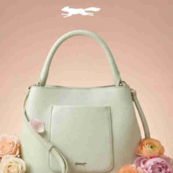 Paul Costelloe Reviews